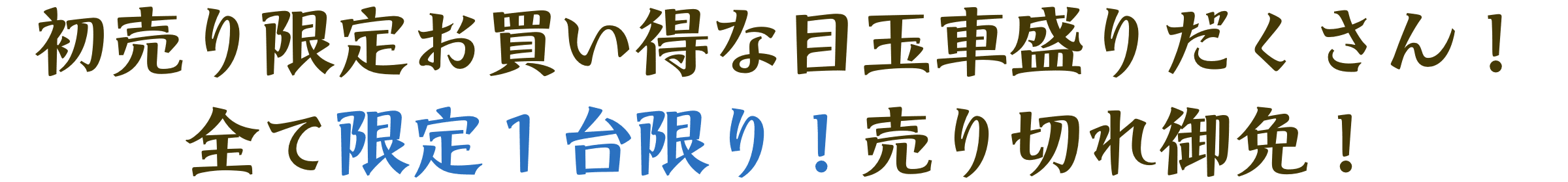 初売り限定お買い得な目玉車もりだくさん！全て限定1台限り！売り切れ御免！