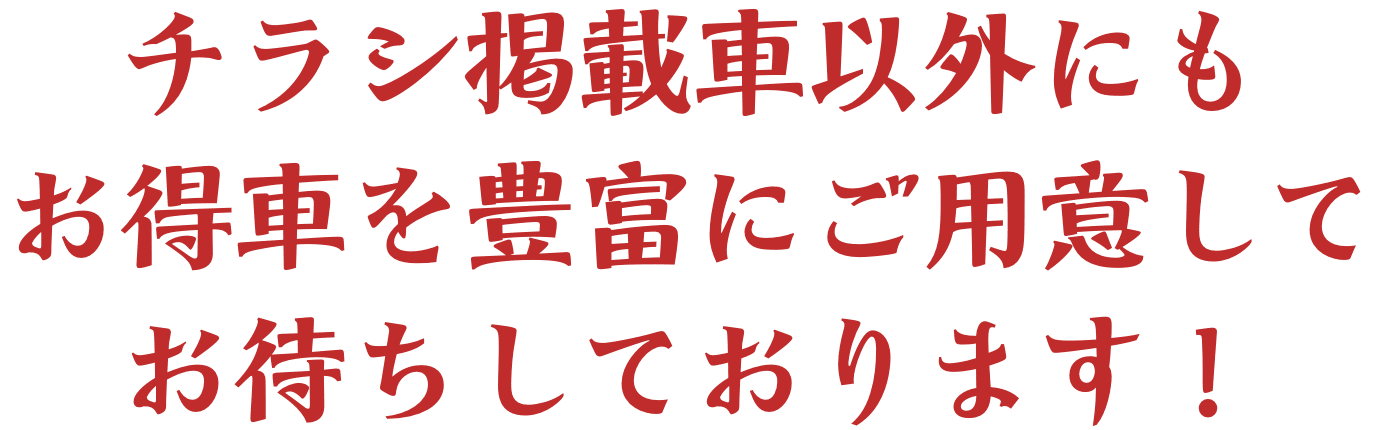 チラシ掲載車以外にもお得車を豊富にご用意してお待ちしております！