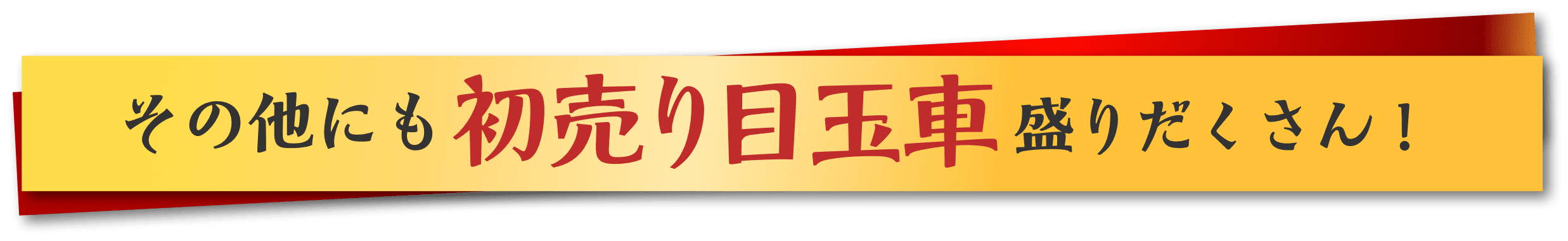 その他にも初売り目玉車盛りだくさん！