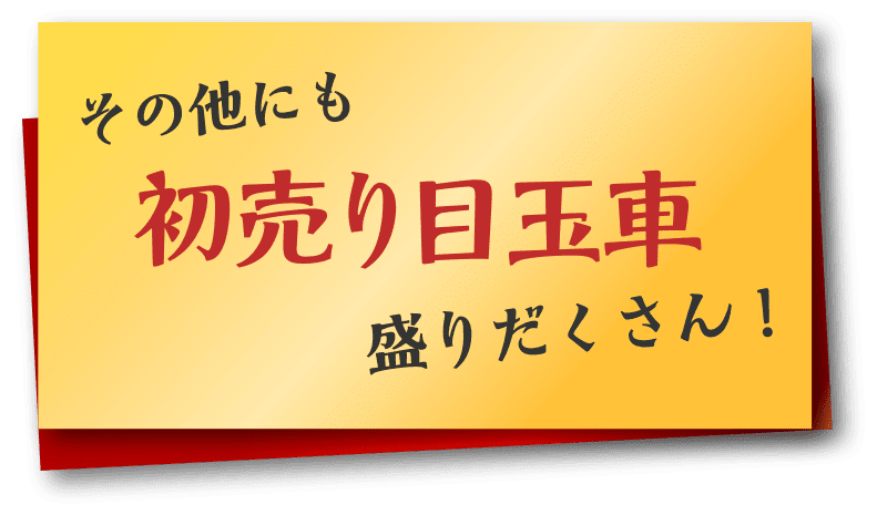 その他にも初売り目玉車盛りだくさん！