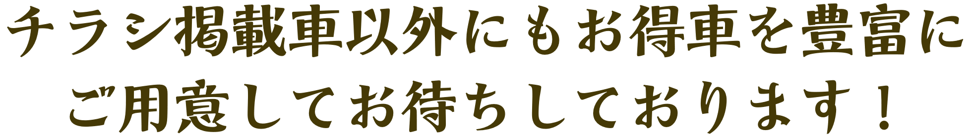 チラシ掲載車以外にもお得車を豊富にご用意してお待ちしております！