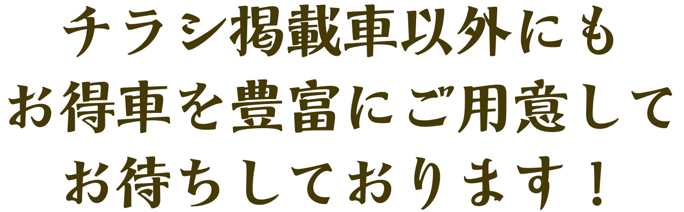 チラシ掲載車以外にもお得車を豊富にご用意してお待ちしております！