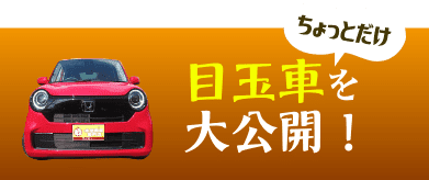 目玉車大公開